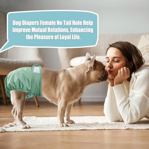 wegreeco Frenchie Dog Diapers Female No Tail Hole,Washable Pet French Puppy Bulldog Diapers Female for Period Heat,Reusable Doggy Doggie Dog Diapers （Large） - Image 6
