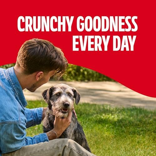 Milk-Bone Dog Treats for Medium Dogs, 24 Ounce | Pack of 2 | Crunchy | Helps Clean Teeth - Image 5