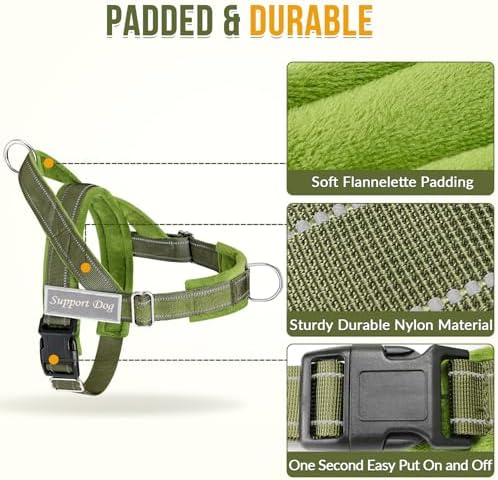 SlowTon No Pull Dog Harness and Leash Set - Heavy Duty, Soft Padded - Image 3