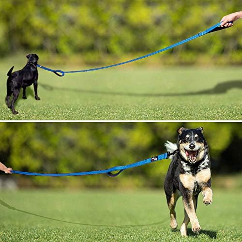 Plutus Pet Double Handle Dog Leash, 6 FT Long, for Medium Large Dogs - Image 6