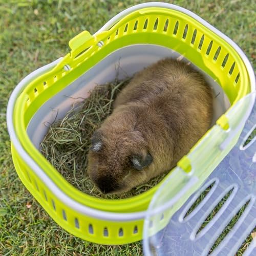 TRIXIE Pico Transport Crate, Great On-The Go Travel with Small Pets, Small - Image 3