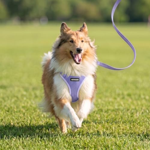 Best Pet Supplies Voyager Step-in Air All Weather Mesh Harness and Reflective Dog 5ft Leash Combo with Neoprene Handle, for Small, Medium and Large Breed Puppies - Lavender, XXXS - Image 7