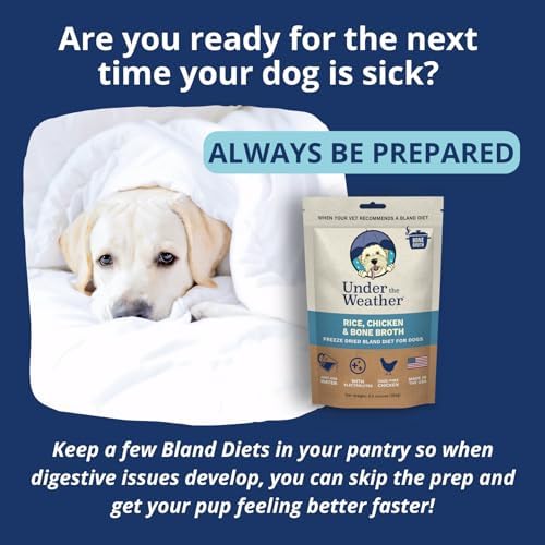 Under the Weather Easy to Digest Bland Diet for Sick Dogs - Always Be Ready - Contains Electrolytes - Gluten Free, All Natural, Freeze Dried 100% Human Grade Meats - 6 Pack Chicken, Rice & Bone Broth - Image 2
