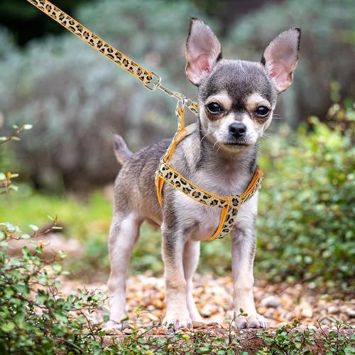 Mile High Life Leopard Dog Harness Collar Leash Set, Adjustable No Pull Dog Halter Harness for Small Breed Dogs, Easy Control for Training Walking (Yellow, M Chest 15"-21", Neck 13"-17") - Image 3