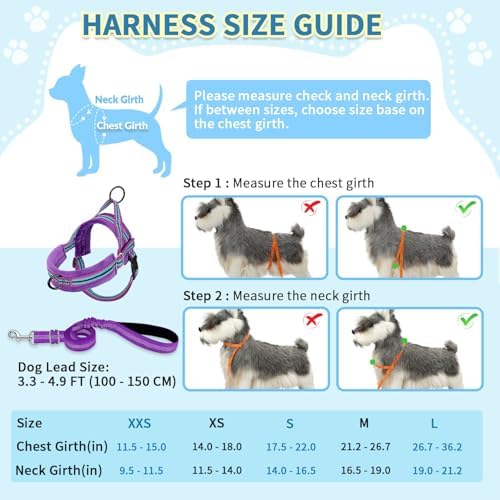 SlowTon No Pull Small Dog Harness and Leash Set with Front Clip - Image 5