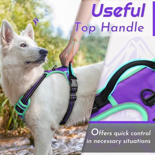 Eagloo Dog Harness for Small Dogs, No Pull Pet Vest with 2 Leash Clips - Image 5