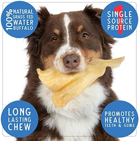 Pet Craft Supply Water Buffalo Ears Dog Chews, Aggressive Chewers, 16 Pack - Image 2