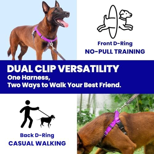 Easy Walk No Pull Dog Harness, Purple, Medium - Image 5