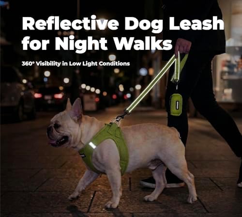 Best Pet Supplies Voyager Nylon Dog Leash - Lime Green, Large - Image 4