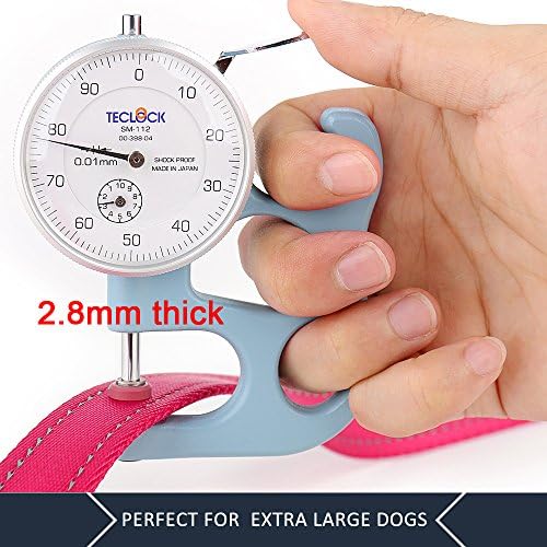 Plutus Pet Double Handle Dog Leash, 4 FT Long, for Medium Large Dogs - Image 5