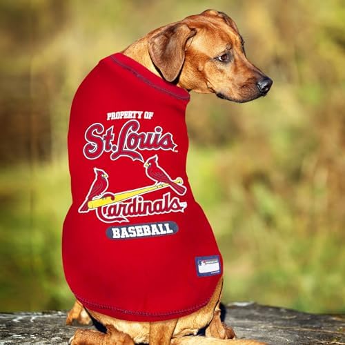 MLB Saint Louis Cardinals Dog T-Shirt, Small. - Licensed Shirt for Pets Team Colored with Team Logos. - Premium Stretchable Materials for The Comfort of Your Dog & cat. - Image 2