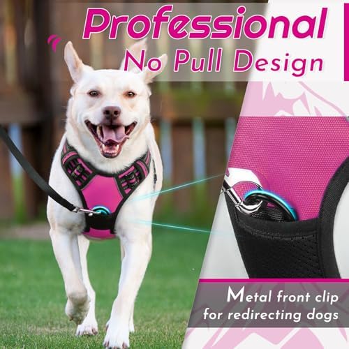 Eagloo Dog Harness for Large Dogs, No Pull Pet Vest with 2 Leash Clips - Image 2