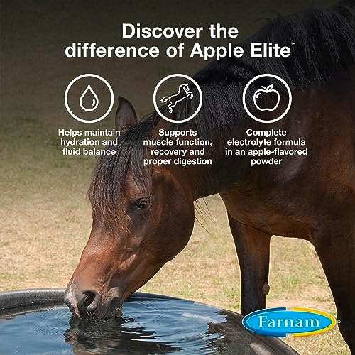 Farnam Apple Elite Horse Electrolyte Powder, Replaces Minerals Lost in Sweat During Exercise, Extreme Weather & Stressful Conditions, 5 lb., 40 Day Supply (Pack of 2) - Image 3