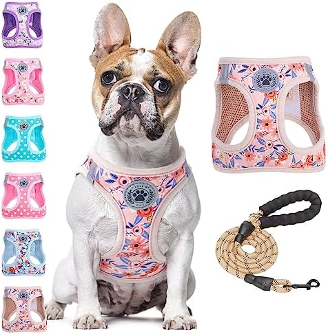 BEAUTYZOO Dog Harness Medium Sized and Leash Set,No Pull Pet Vest -Floral,M by BEAUTYZOO