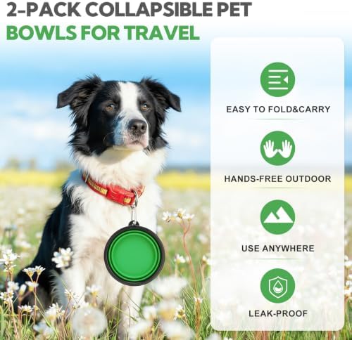 Collapsible Dog Bowl Large 34oz, Travel Dog Water Bowl Portable - Image 3