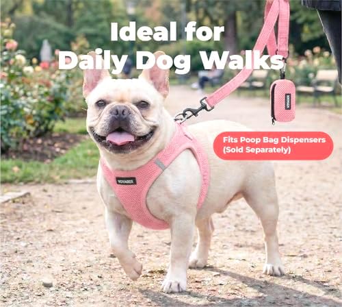 Best Pet Supplies Voyager Nylon Dog Leash - Pink, Small - Image 3