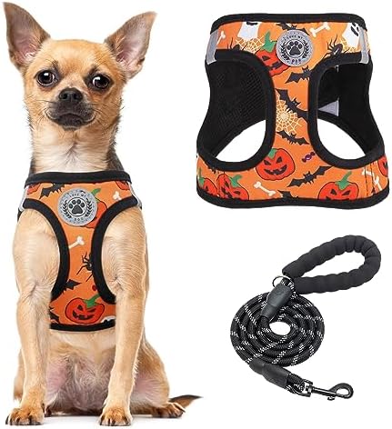 BEAUTYZOO Halloween Dog Harness Medium Sized and Leash Set,No Pull Pet Vest by BEAUTYZOO