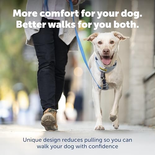 PetSafe Easy Walk Comfort No Pull Dog Harness, Blue, Medium - Image 2