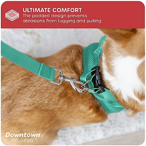 Downtown Pet Supply Step in Dog Harness for Small Dogs No Pull, X-Small, Bermuda Blue - Adjustable Harness with Padded Mesh Fabric and Reflective Trim - Buckle Strap Harness for Dogs - Image 6