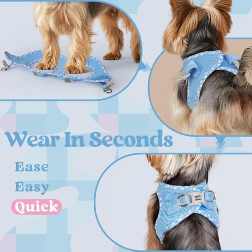 rabbitgoo Step-in Small Dog Harness, Puppy Vest for Small Sized Pet - Image 5