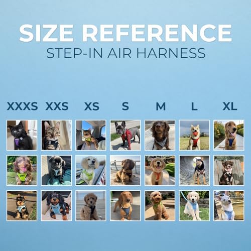 Best Pet Supplies Voyager Step-in Air All Weather Mesh Harness and Reflective Dog 5ft Leash Combo with Neoprene Handle, for Small, Medium and Large Breed Puppies - Moss Green, XXXS - Image 6