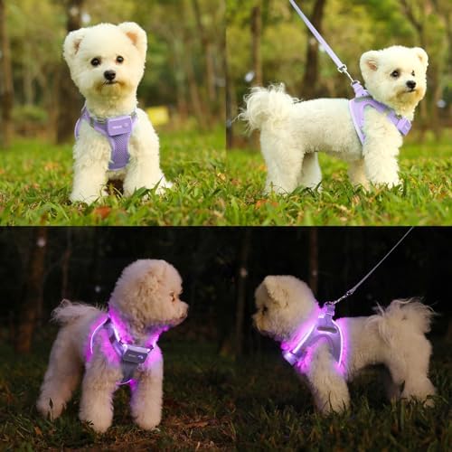 Light Up Dog Harness, Rechargeable LED Dog Harness for Small Medium Dogs - Image 3