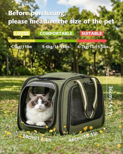 Pecute Cat Carrier,Double Bubble Pet Carrier for Cat Small Dogs,Green,L - Image 5