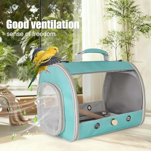 Bird Carrier, Portable Small Bird Parrot Parakeet Carrier with Standing Perch and Stainless Steel Tray, Side Access Window Collapsible (Green, Cylinder Design - Clear) - Image 6