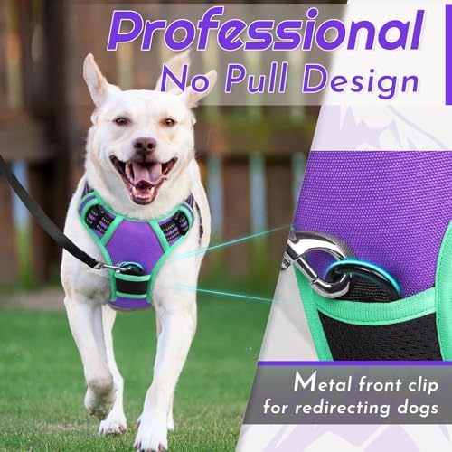 Eagloo Dog Harness for Large Dogs, No Pull Pet Vest with 2 Leash Clips - Image 2