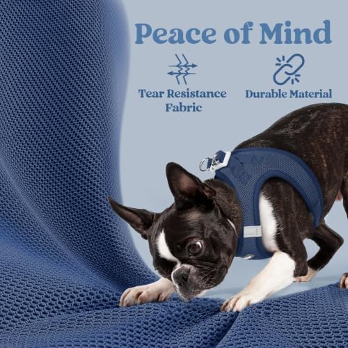 rabbitgoo Step-in Small Dog Harness, Puppy Vest for Small Sized Pet - Image 5