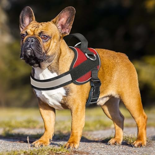 Haapaw Essential Dog Harness, No Pull Pet Vest with 3 Leash Clips, No Choke, Reflective, Adjustable and Padded, for Easy Walking and Training for Small Dogs(S, Red) - Image 3