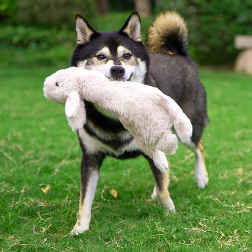Best Pet Supplies 2-in-1 Stuffless Squeaky Dog Toy - Hare, Large - Image 6