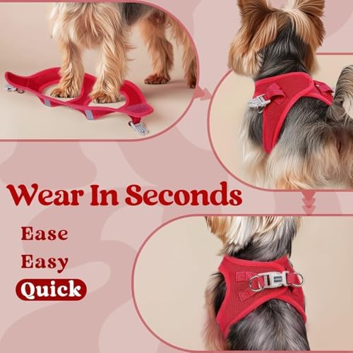 rabbitgoo Step-in Small Dog Harness, Puppy Vest for Small Sized Pet - Image 6