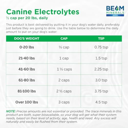 BEAM Minerals Complete Canine Electrolytes | 12 fl Oz - Image 5