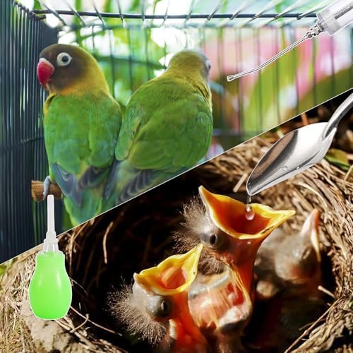 50ML Baby Bird Feeding Syringe Set Pet Syringe - Image 7