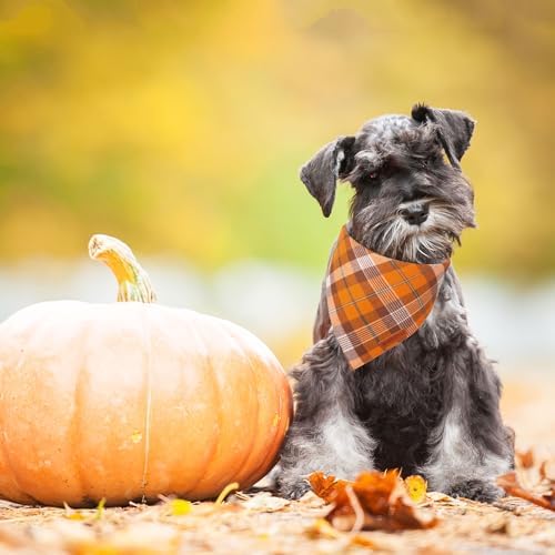 ADOGGYGO Fall Thanksgiving Dog Bandanas, Orange Plaid Dog Scarf, Small - Image 3