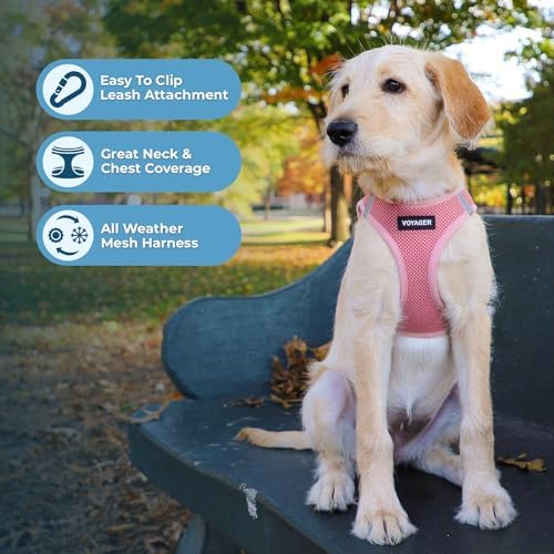 Best Pet Supplies Voyager Step-in Air All Weather Mesh Harness and Reflective Dog 5ft Leash Combo with Neoprene Handle, for Small, Medium and Large Breed Puppies - Pink, Medium - Image 5