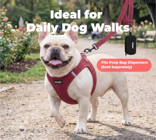 Best Pet Supplies Voyager Nylon Dog Leash - Burgundy, Small - Image 3