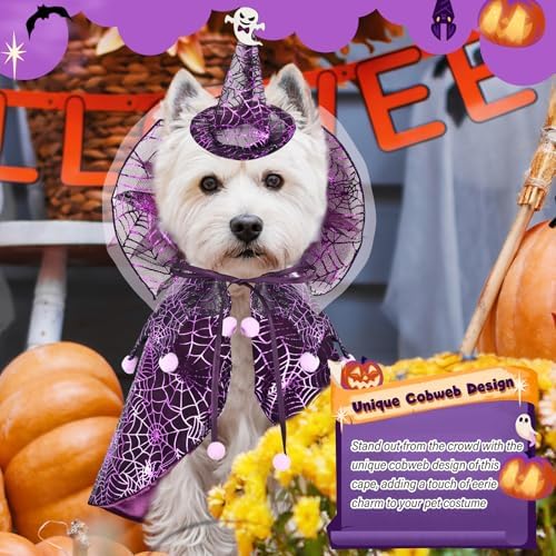 Dog Cat Halloween Costume Cobweb Tulle Cape & Wizard Hat Purple, SM - Image 3