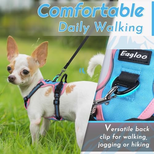 Eagloo Dog Harness for Small Dogs, No Pull Pet Vest with 2 Leash Clips - Image 4