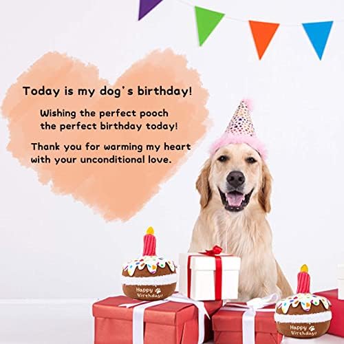 lilfrd Dog Birthday Toy, Squeaky Plush Birthday Cake Puppy Gift - Image 6
