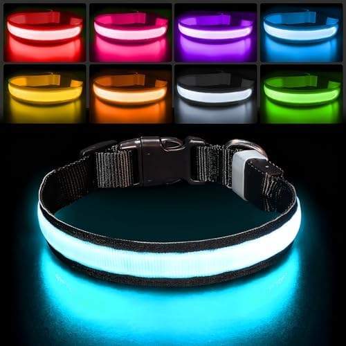 PcEoTllar Light up Dog Collar, Safe for Night Walking, Adjustable, Black, M by PcEoTllarPetSupplies