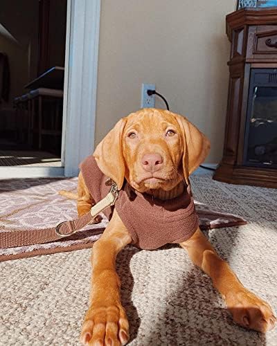 Gooby Stretch Fleece Vest Dog Sweater, Brown, X-Large - Image 6