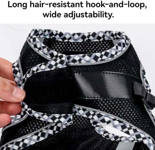 Petank Step in Dog Harness No Pull and Leash for Small Medium Dogs Cats. - Image 5