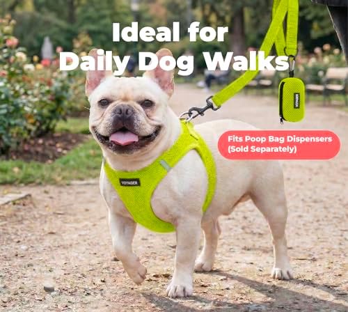 Best Pet Supplies Voyager Nylon Dog Leash - Lime Green, Large - Image 3