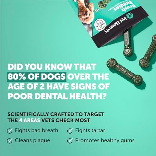 Pet Honesty Brush Buddies Vet Backed Dog Dental Chews, 25 Count - Image 2