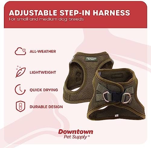 Downtown Pet Supply Step in Dog Harness for Teacup Dogs & Cats No Pull, XX-Small, Hunter Green - Adjustable Harness with Padded Mesh Fabric and Reflective Trim - Buckle Strap Harness for Dogs - Image 3