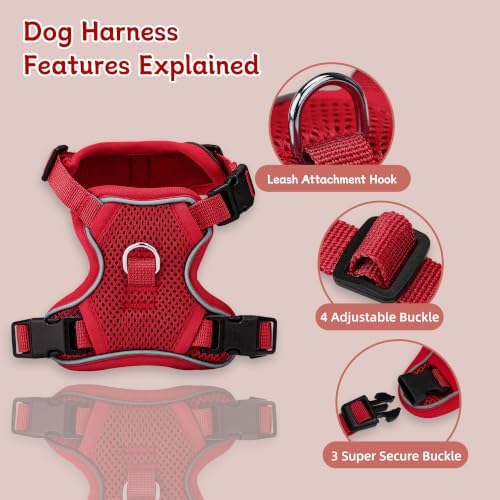 Small Dog Harness and Leash Set, Adjustable Small Sized Pet Vest - Image 2