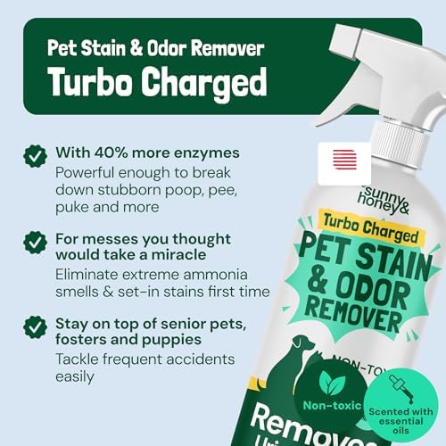 Sunny & Honey Turbo Carpet Cleaner Spray, Enzyme Stain Remover, 32oz Mint - Image 2