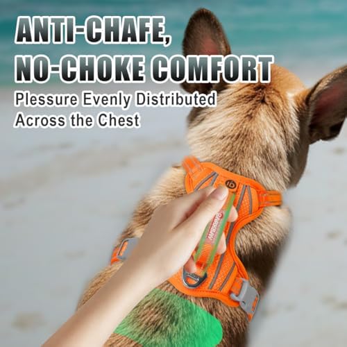 BARKBAY Dog Harness for Small Sized Dog No Pull Dog Vest ID Tag Pocket - Image 4